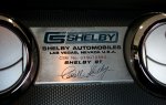 Shelby Trio ID.jpg