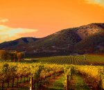 wine-country-getaway.jpg