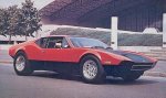 Pantera_2a m (Large).jpg