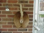 redneck doorbell.jpg