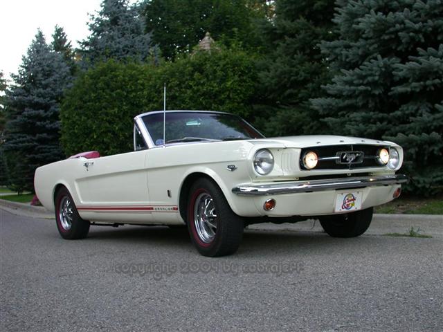 10170Mustang_Small_.JPG